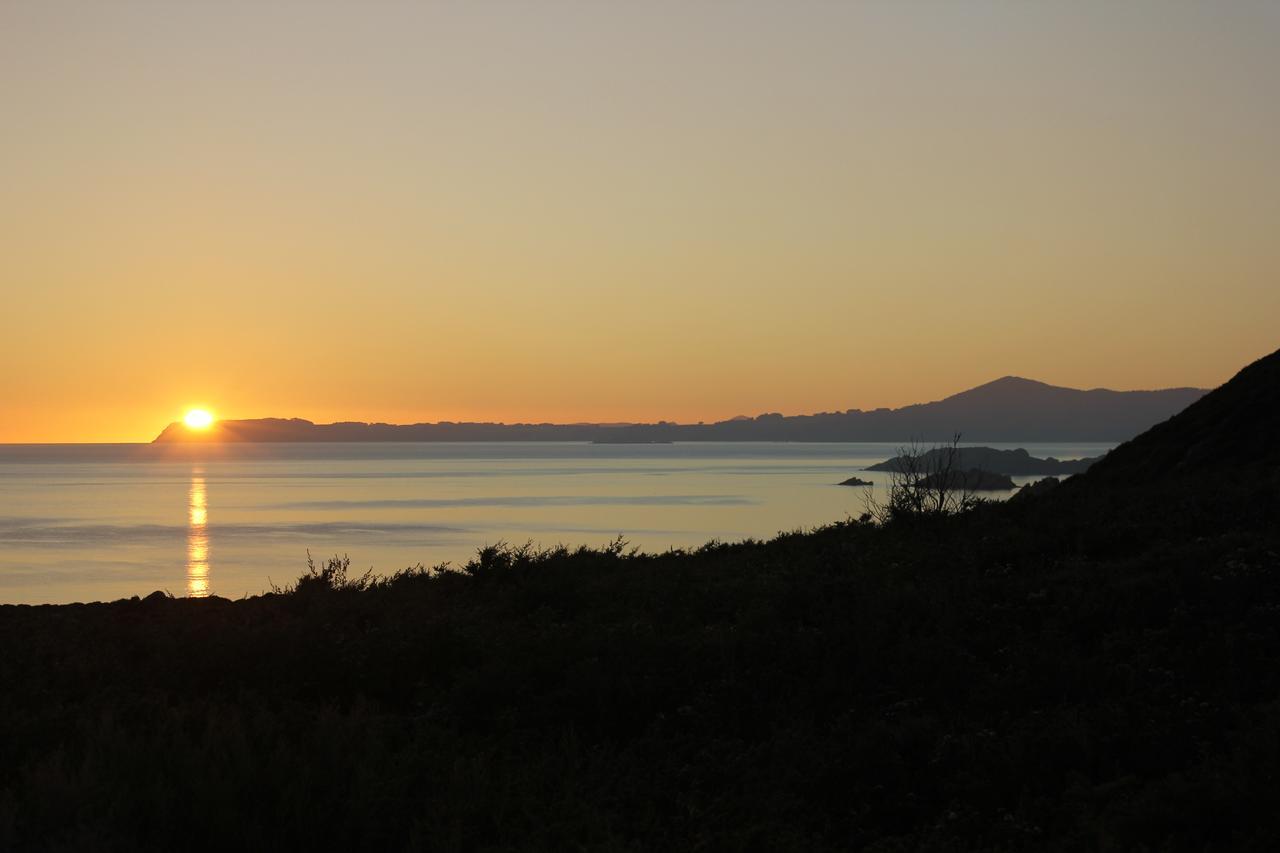 Eagle'S Roost Farmstay B&B Rocky Cape Εξωτερικό φωτογραφία