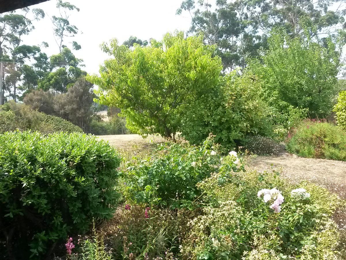 Eagle'S Roost Farmstay B&B Rocky Cape Εξωτερικό φωτογραφία