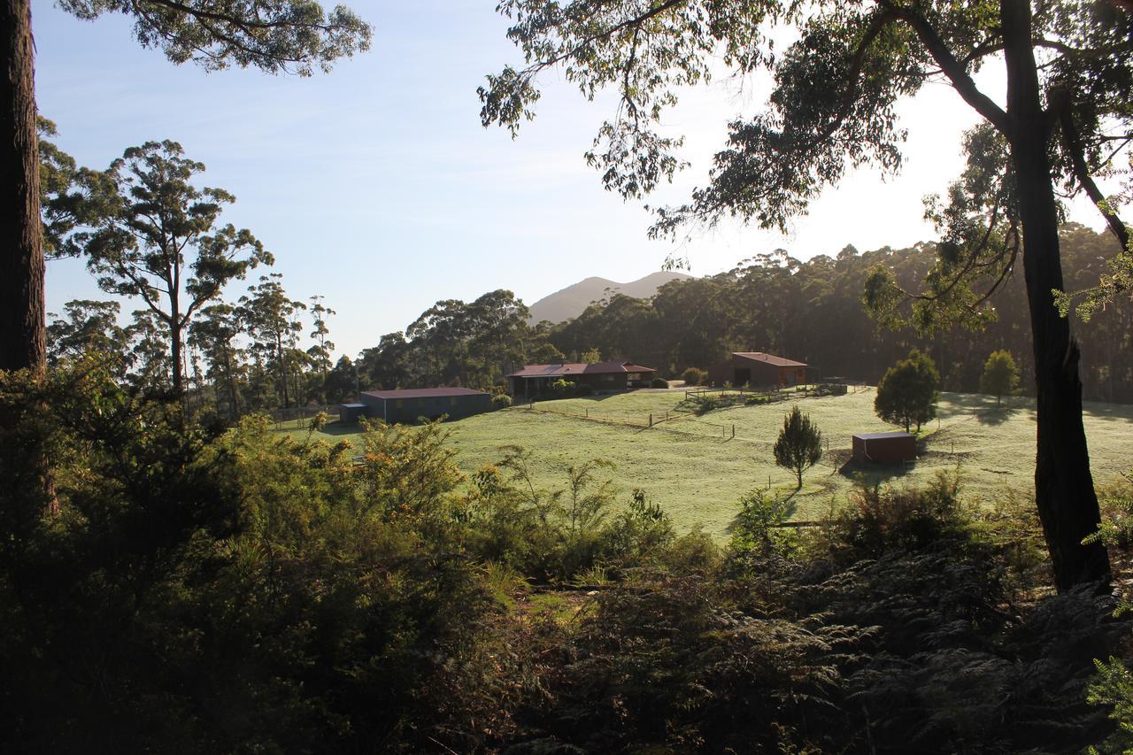 Eagle'S Roost Farmstay B&B Rocky Cape Εξωτερικό φωτογραφία