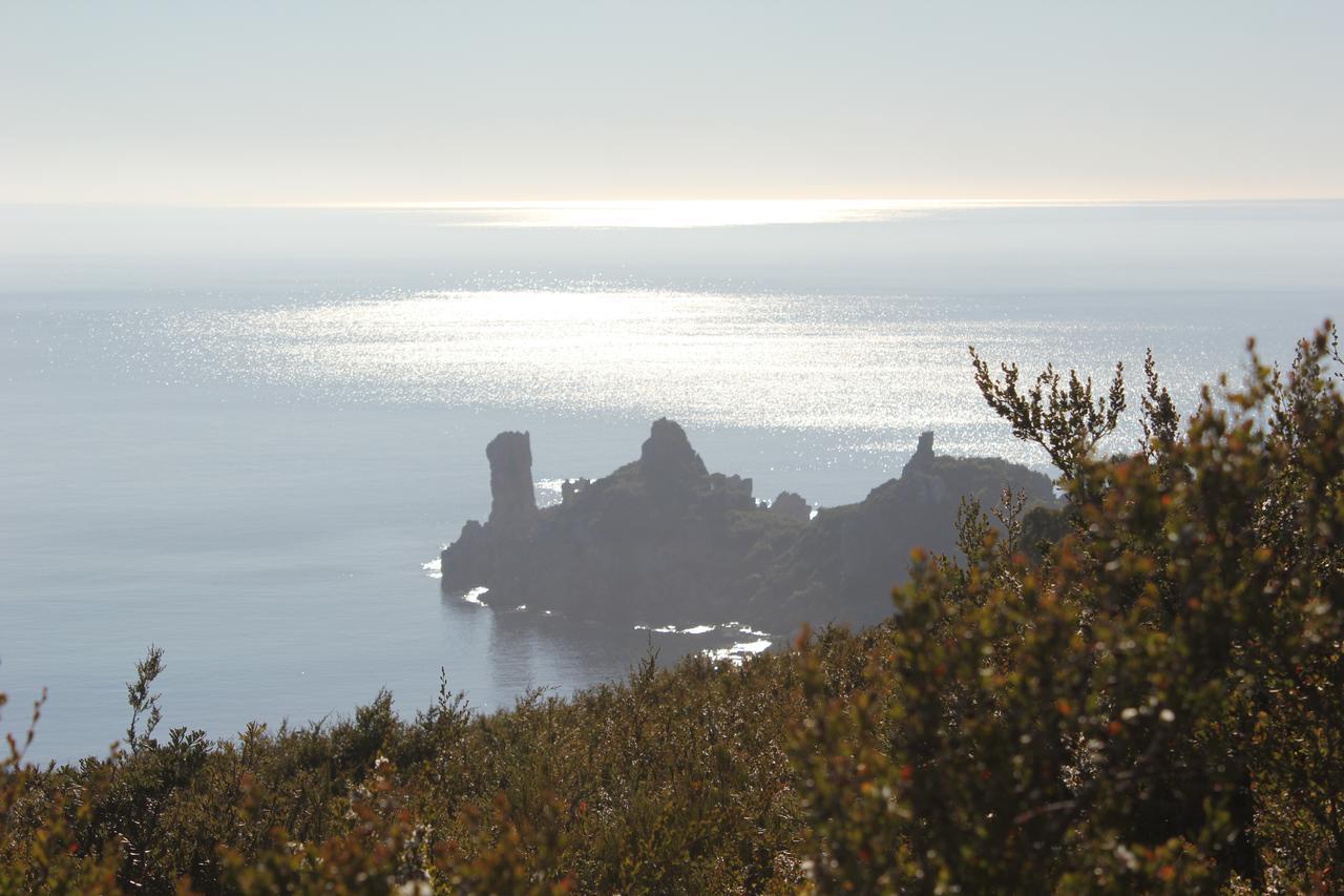 Eagle'S Roost Farmstay B&B Rocky Cape Εξωτερικό φωτογραφία