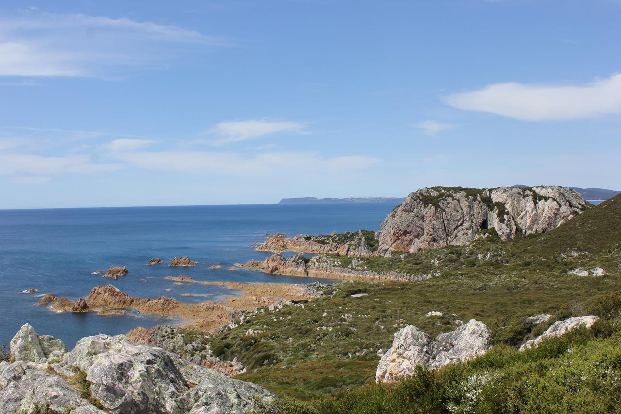 Eagle'S Roost Farmstay B&B Rocky Cape Εξωτερικό φωτογραφία